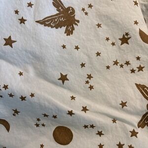 Pottery Barn PB Teen Harry Potter Enchanted Night Sky FULL sz Flat Sheet